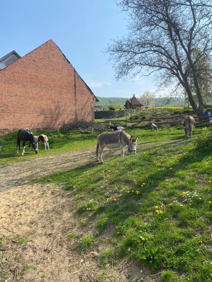 Fewo Im Reit- Und Ponyparadies Roos Halle  Eksteriør bilde