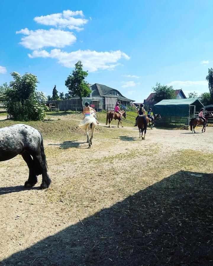 Fewo Im Reit- Und Ponyparadies Roos Halle  Eksteriør bilde