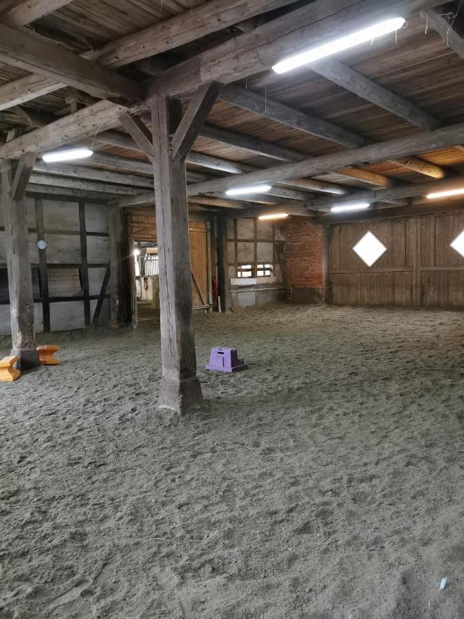 Fewo Im Reit- Und Ponyparadies Roos Halle  Eksteriør bilde