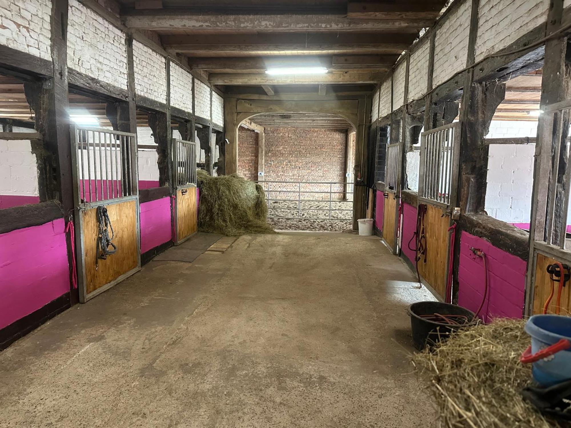 Fewo Im Reit- Und Ponyparadies Roos Halle  Eksteriør bilde