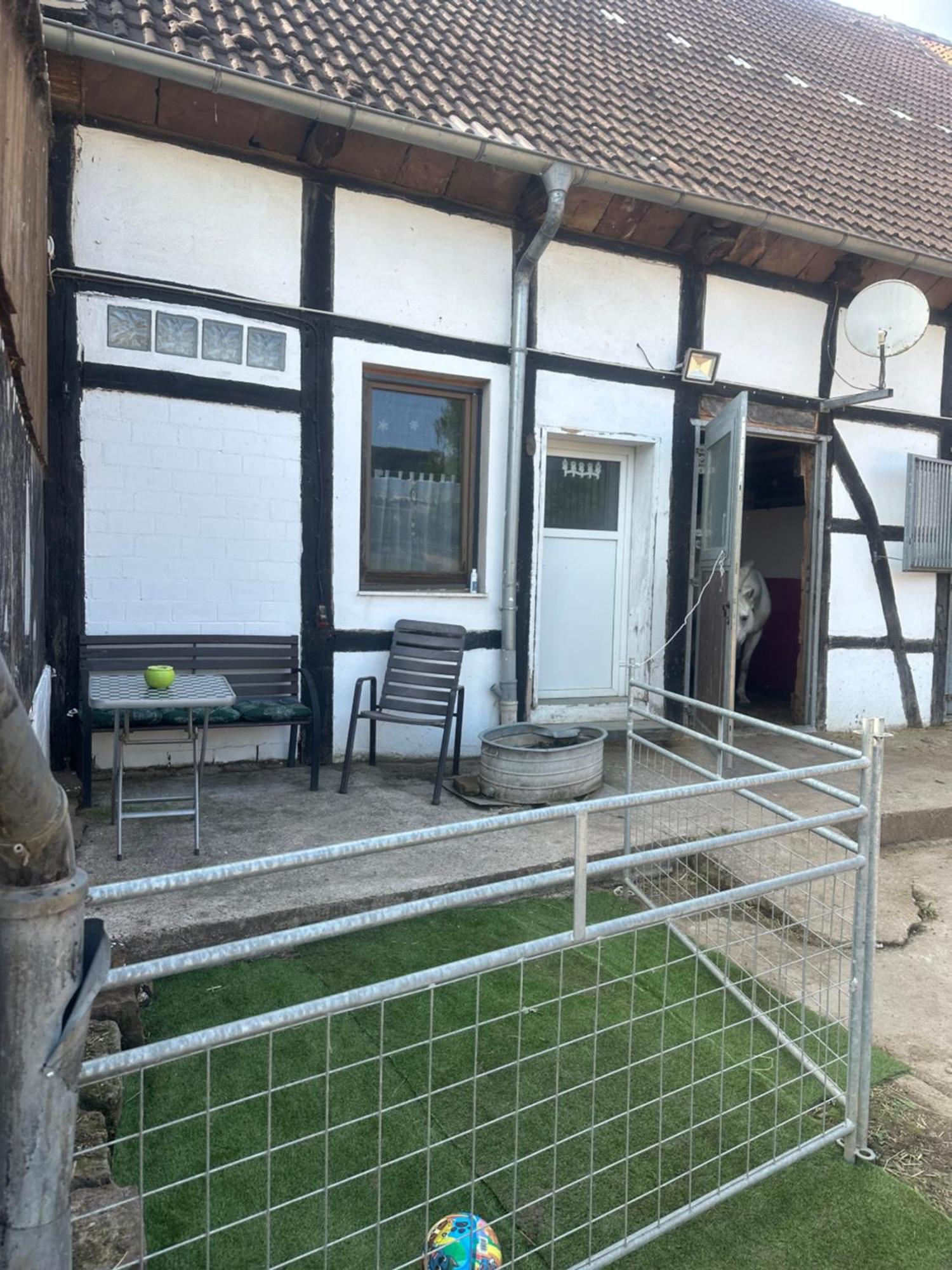 Fewo Im Reit- Und Ponyparadies Roos Halle  Eksteriør bilde